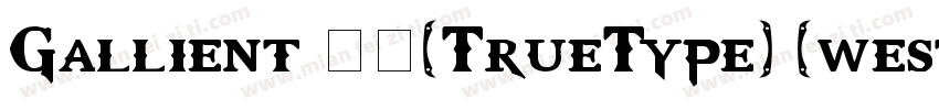 Gallient 常规(TrueType) (western)Micr字体转换